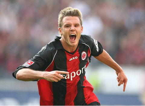 杯里泡枸杞 杯里泡枸杞